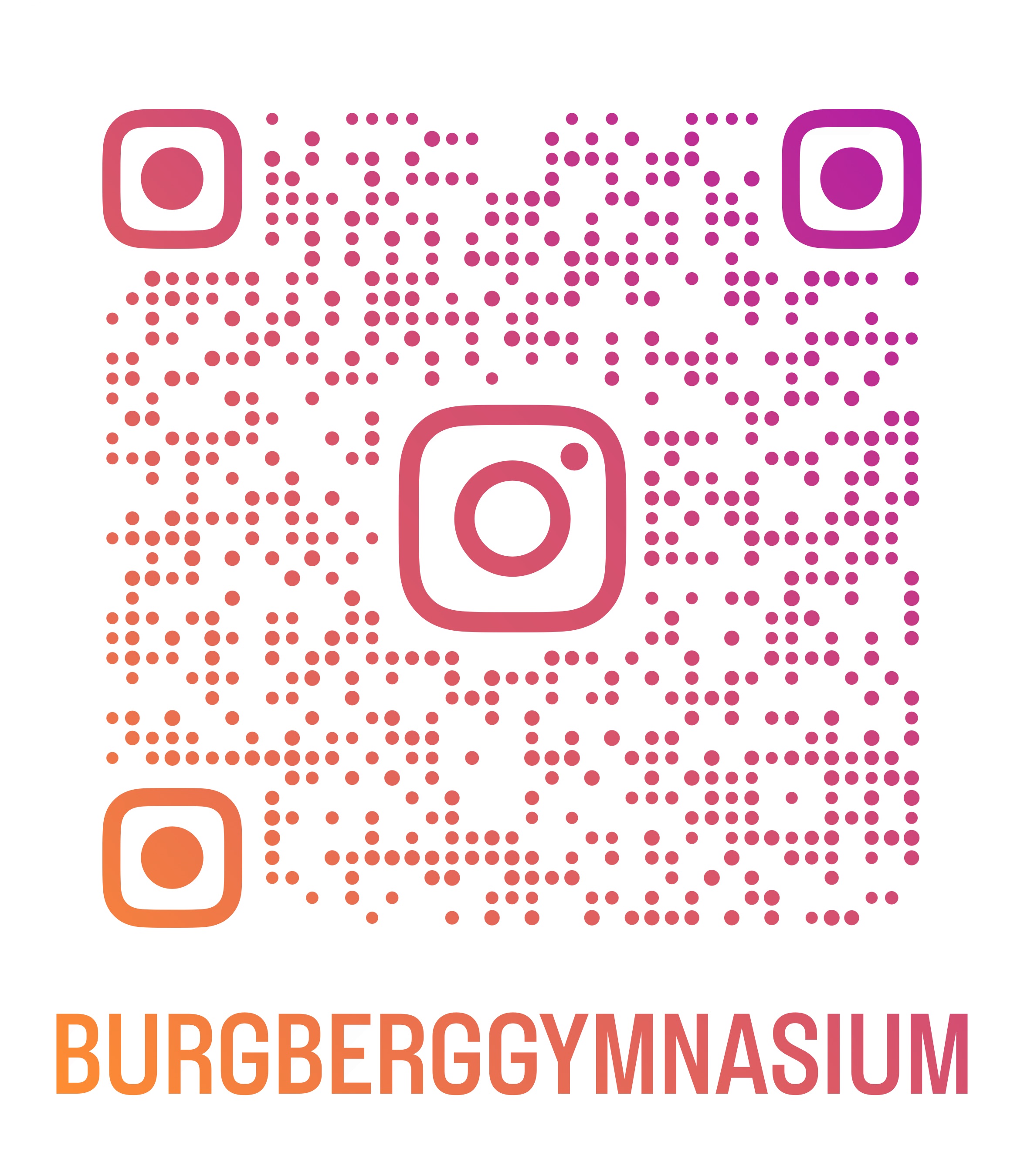 burgberggymnasium qr