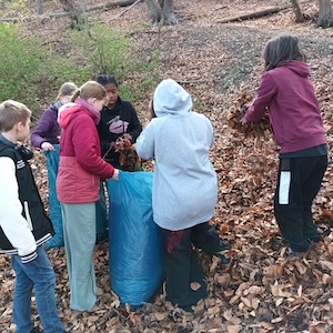 20260415 110926