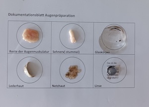Biologieunterricht ganz praktisch
