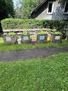 IMG 20250607 WA0003