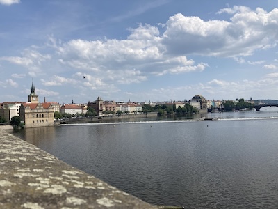 IMG 0660