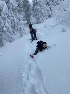 568656F1-C3EE-4EEF-9EC6-84D1E40BCDBD