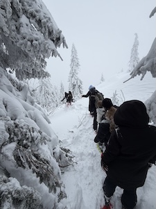 752D2837-980E-44D3-9827-1B6786208114-IMG 9521